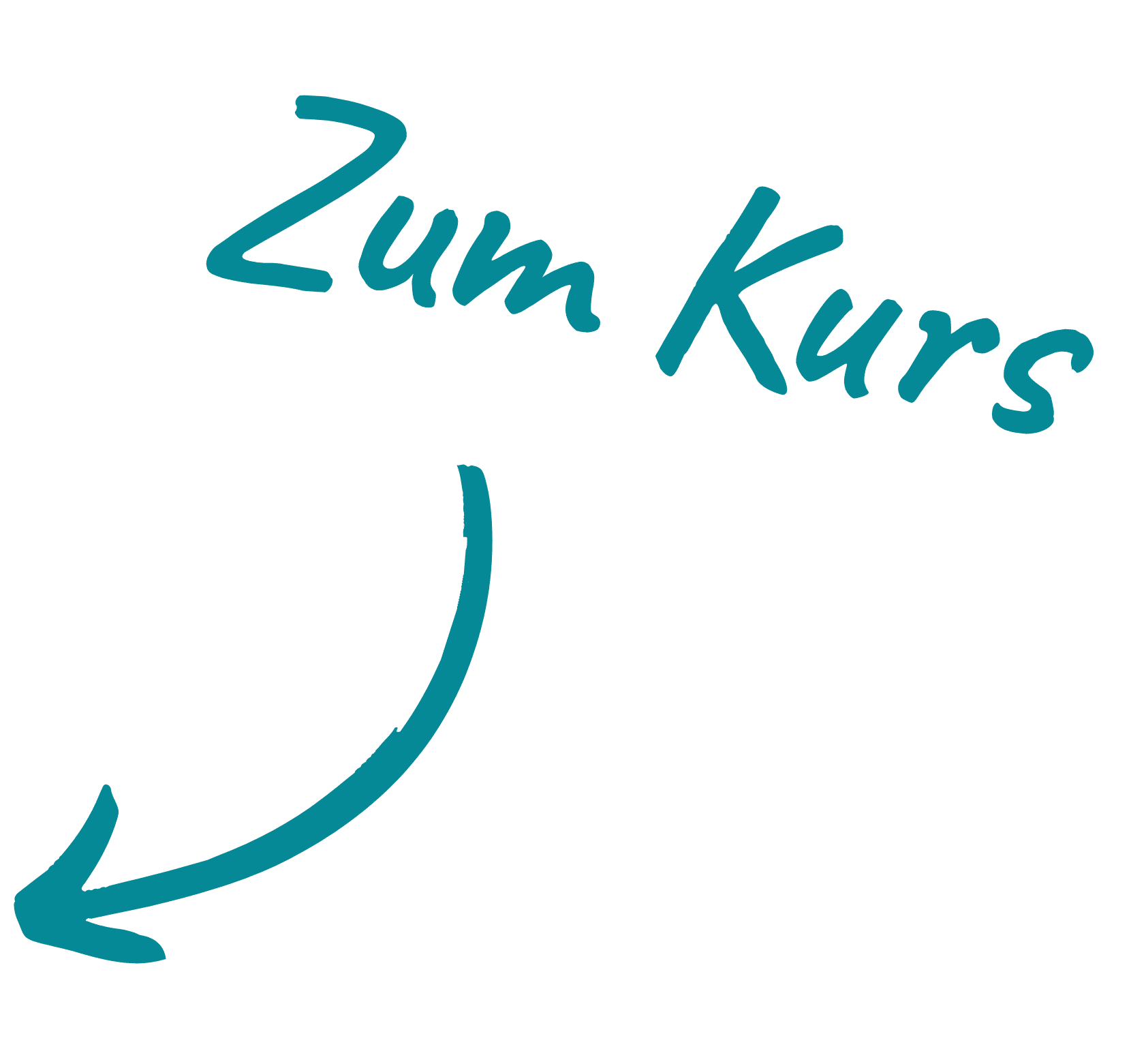 btn zumkurs